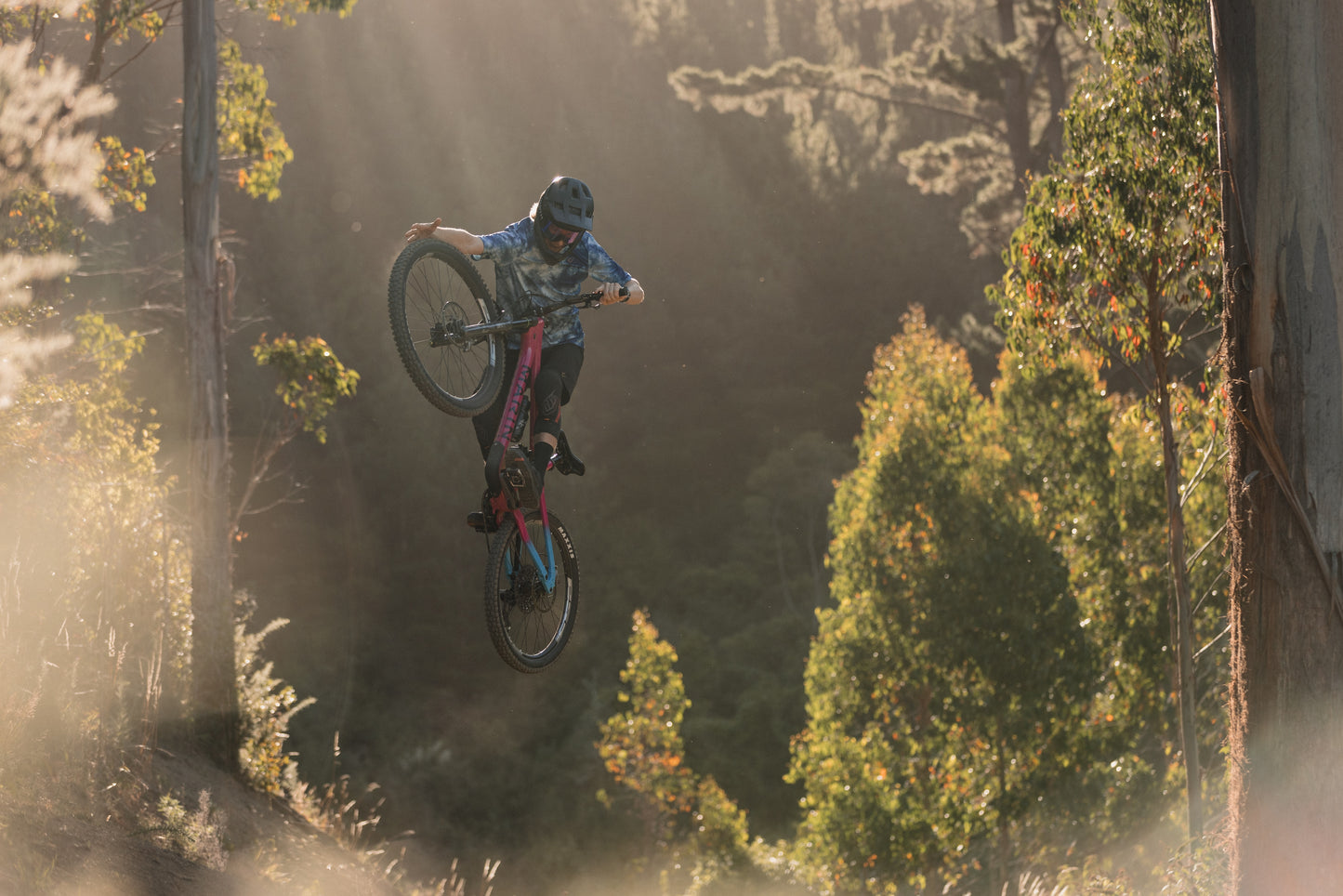 Alpine Trail XR AXS ( Testbike verfügbar ab 07.2025)
